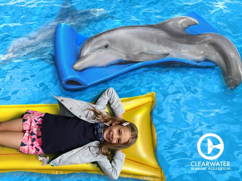 Clearwater family road trip Clearwater family road trip