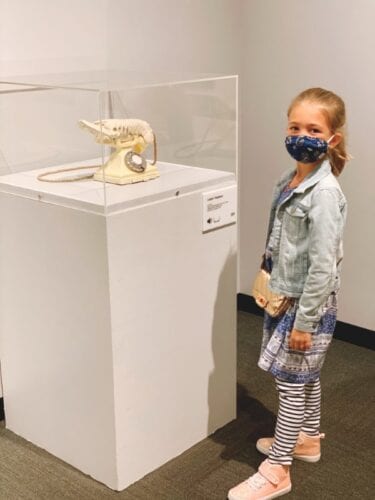 Clearwater family road trip with Modern Boca Mom 50