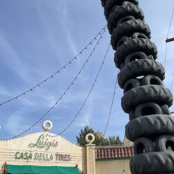 Disneyland versus Disney World 20 rotated