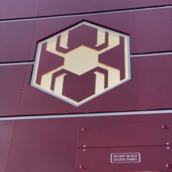 Disneyland versus Disney World 31 rotated