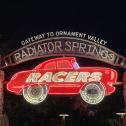 Disneyland versus Disney World 34