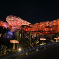 Disneyland versus Disney World 35