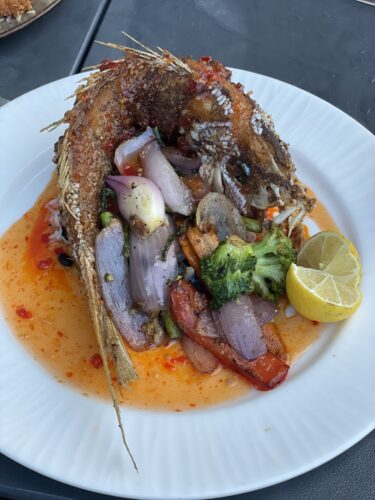 Hawks Cay Family Visit from South Florida 18 scaled