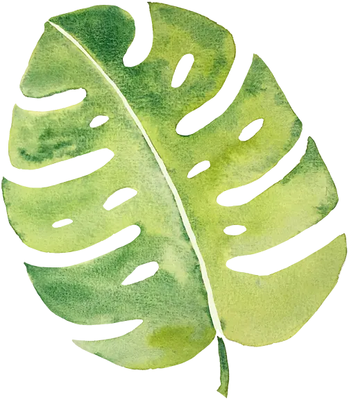 leaf 2