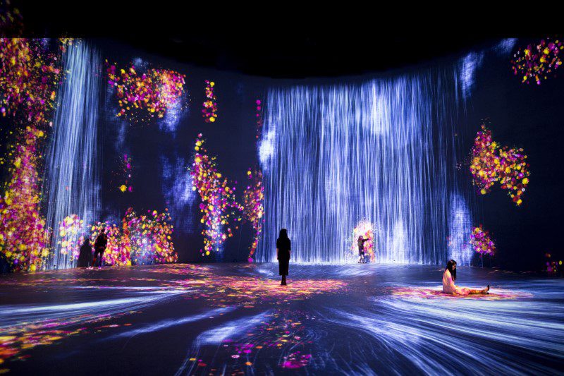 Universe of Water Particles AND Flowers and People 4x3 5MB