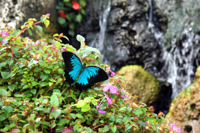 South Florida Adventure Pass South Florida Adventure Pass