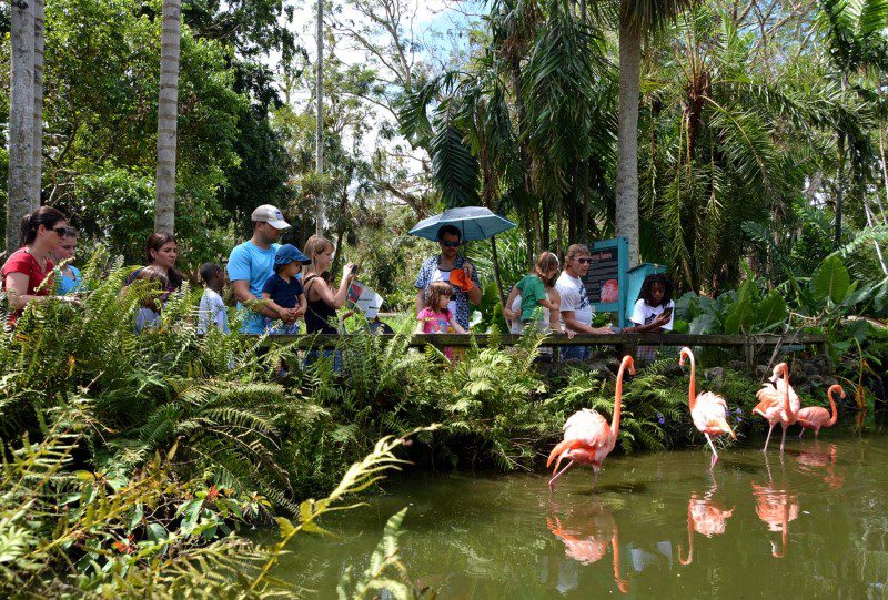 South Florida Adventure Pass South Florida Adventure Pass