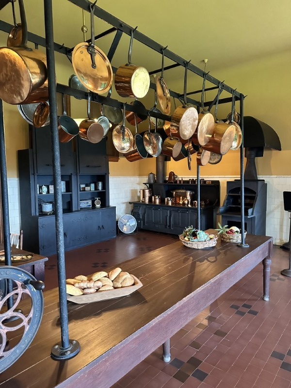 Biltmore Estate in the Summer 5