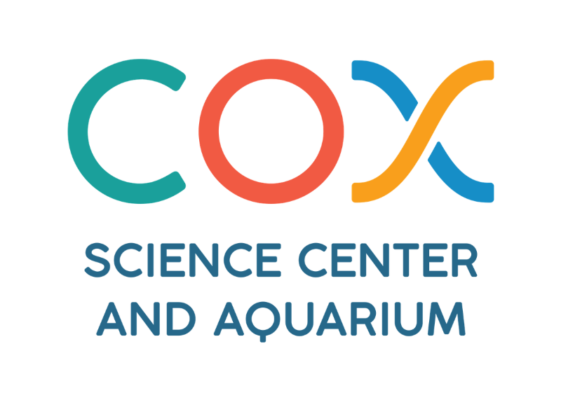 South Florida Winter Break Camps Cox Science Center