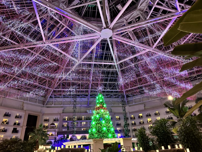 Christmas at Gaylord Palms Orlando