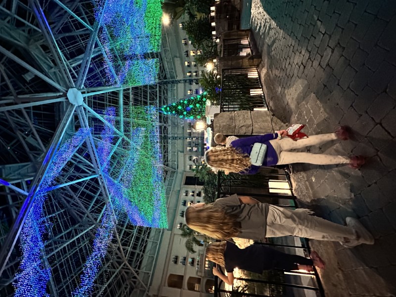 Christmas at Gaylord Palms Orlando