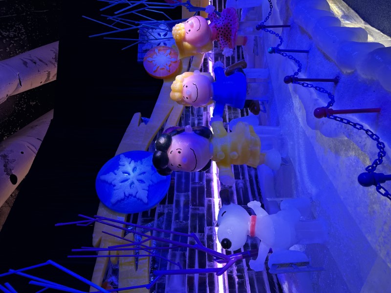 Christmas at Gaylord Palms Orlando