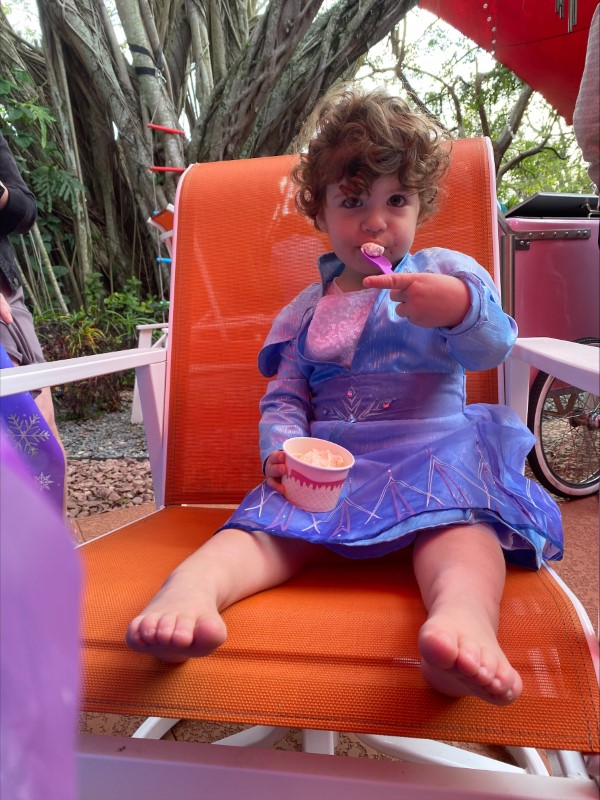 best ice cream in Florida