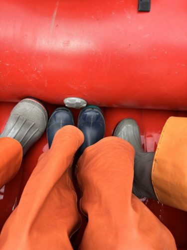 Alaska Land and Sea Cruise Juneau White Water Rafting 32 rotated