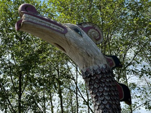 Alaska Land and Sea Cruise Ketchikan 36