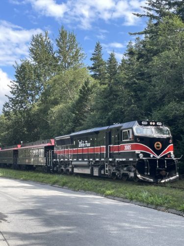 Alaska Land and Sea Cruise Skagway 1 rotated