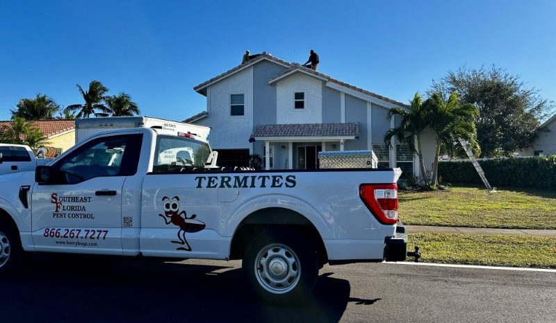 South Florida Termite Tenting Featured