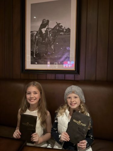 Yellow Pony 3 rotated