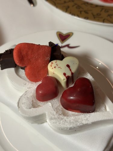 Sun Princess Cruise from Ft. Lauderdale 8 rotated