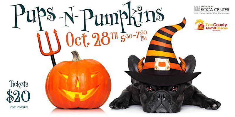 Halloween Events in South Florida Boca Center Pups N Pumpkins Halloween Events in South Florida Boca Center Pups N Pumpkins