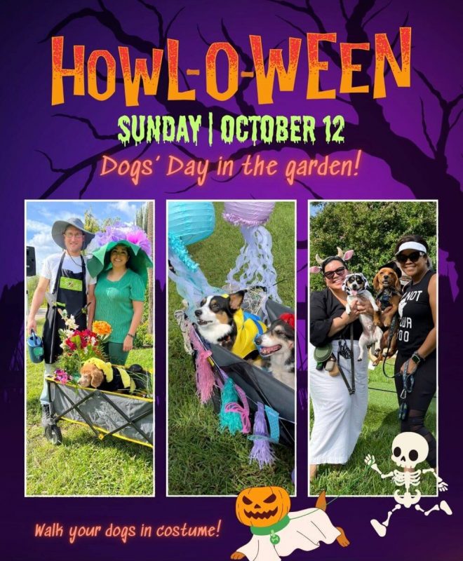 Howl O Ween Dogs Day Postcard Howl O Ween Dogs Day Postcard